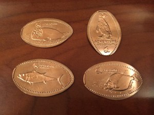 Adventure Aquarium 01