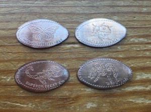 Insectropolis Pennies