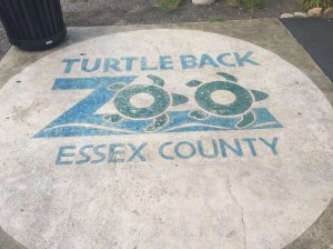 Turtle Back Zoo Logo