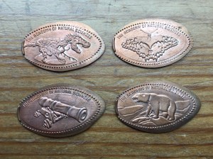 Academy Natural Science Pennies