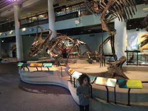 Academy of Natural Science 02