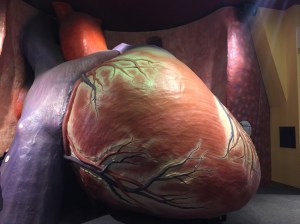 Franklin Institute 02