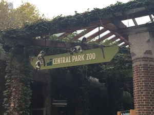Central Park Zoo 01