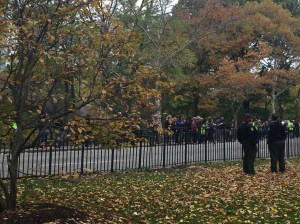 NYC Marathon 2015 02