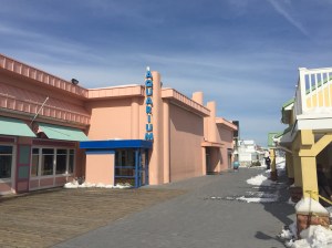 Jekinsons Aquarium 01