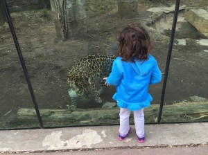 Zoo Visit 02