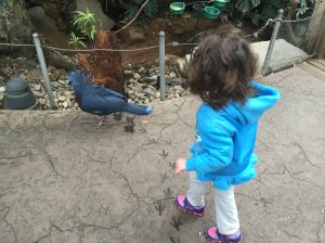 Zoo Visit 03