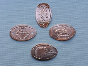 Adv Aquarium 02 Pennies