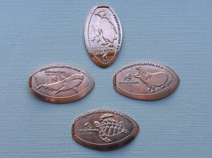 Adv Aquarium 04 Pennies