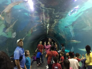 Adv Aquarium 2016 05