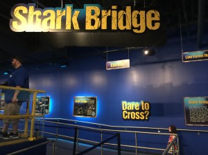 Adv Aquarium 2016 06