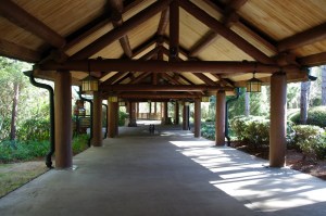 Wilderness Lodge 10