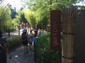 Washington DC Zoo 04