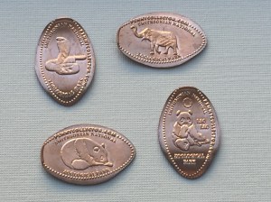 Washington DC Zoo Machine 07 Blog