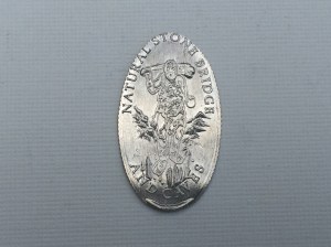 Natural Stone Bridge Dime