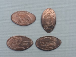 zoo-america-02-pennies